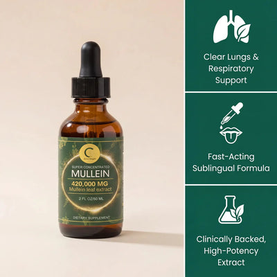 Super Concentrated Mullein Leaf Exctract